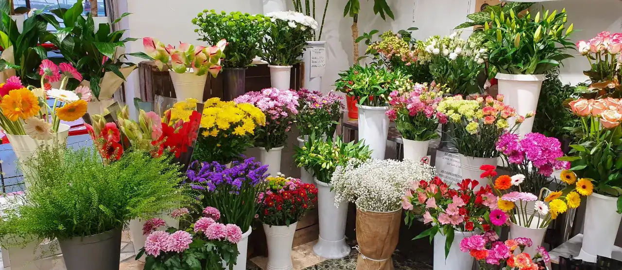Les seaux de fleurs coupées dans la boutique